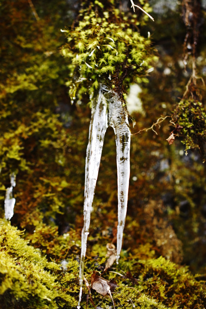 氷Ⅱ