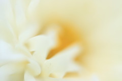 白糸