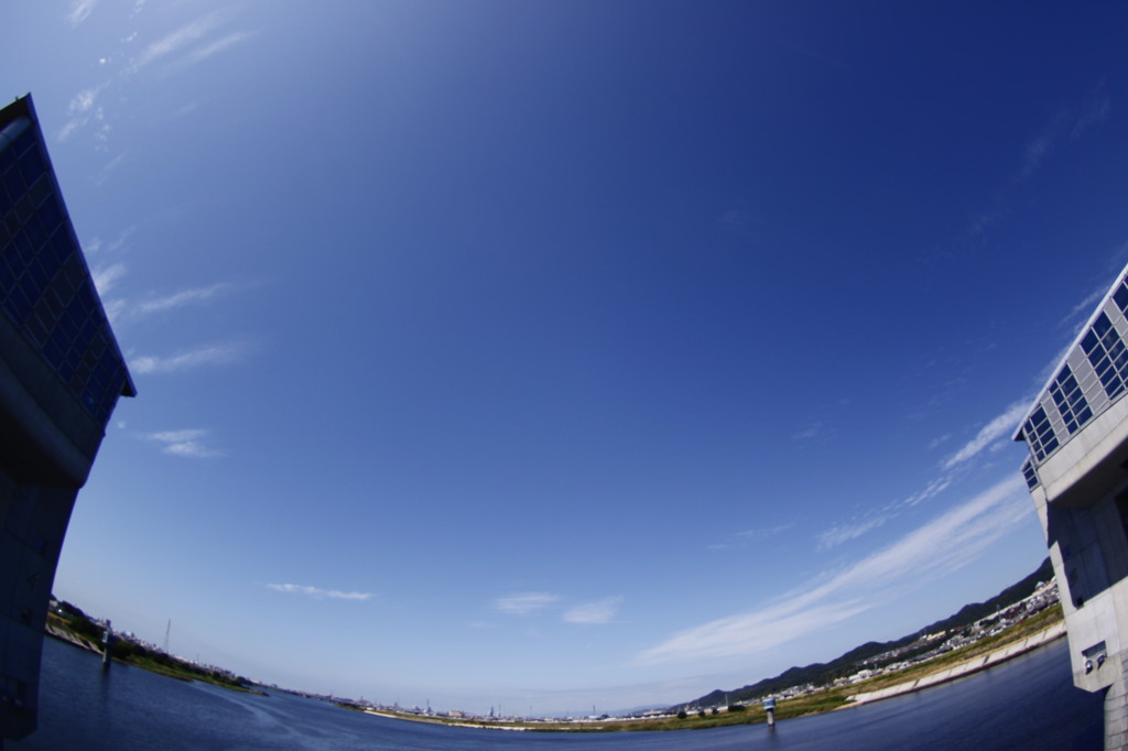 紀ノ川西の風景