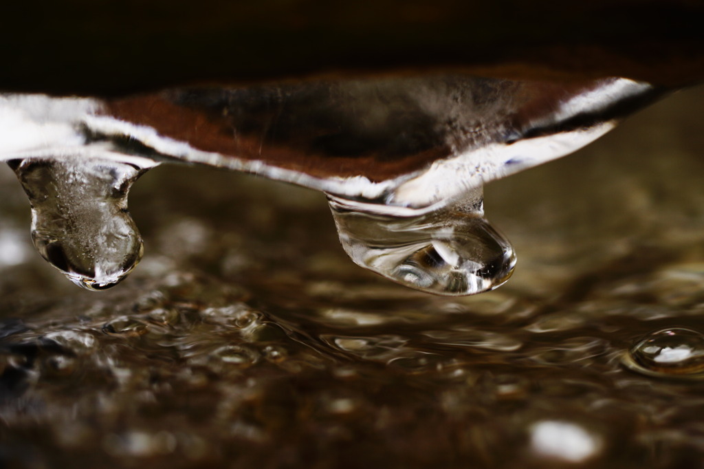 氷