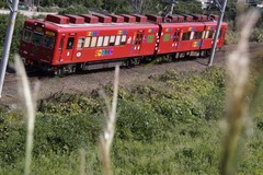 おもちゃ電車とススキ