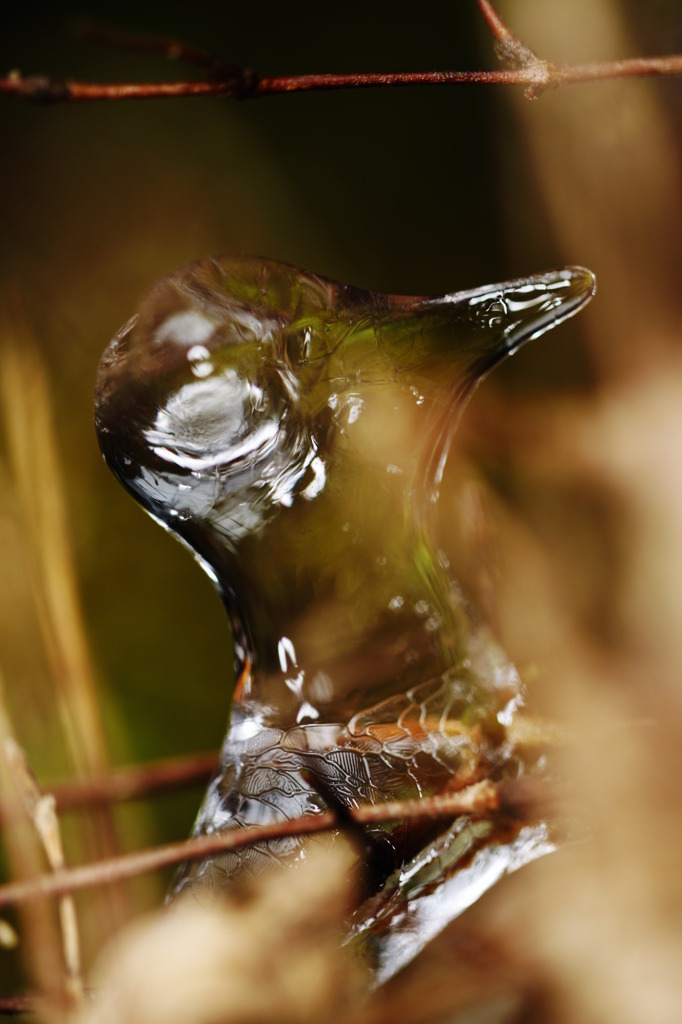 氷Ⅱ