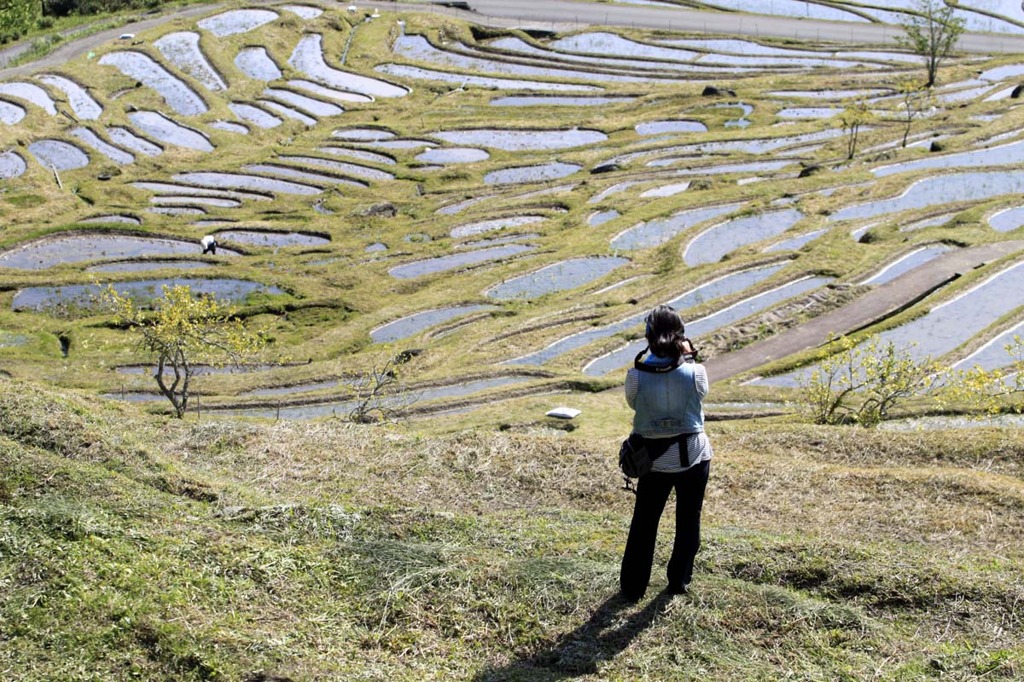 丸山千枚田