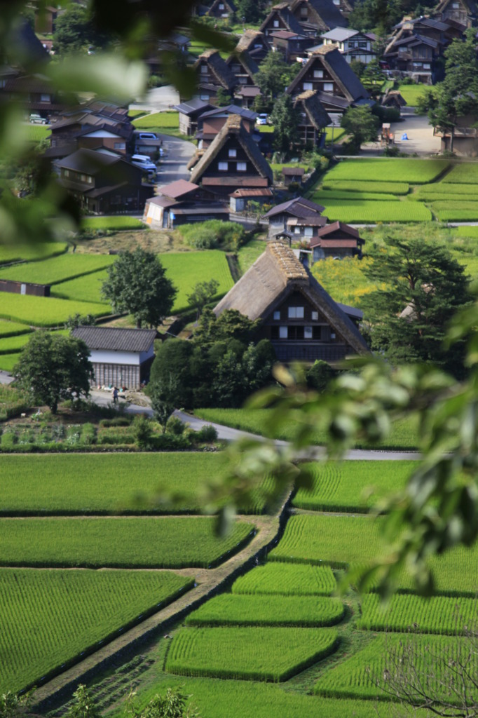 合掌造り