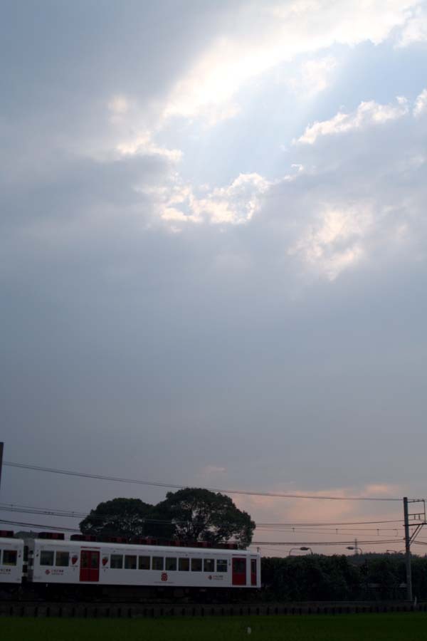 夕日といちご電車