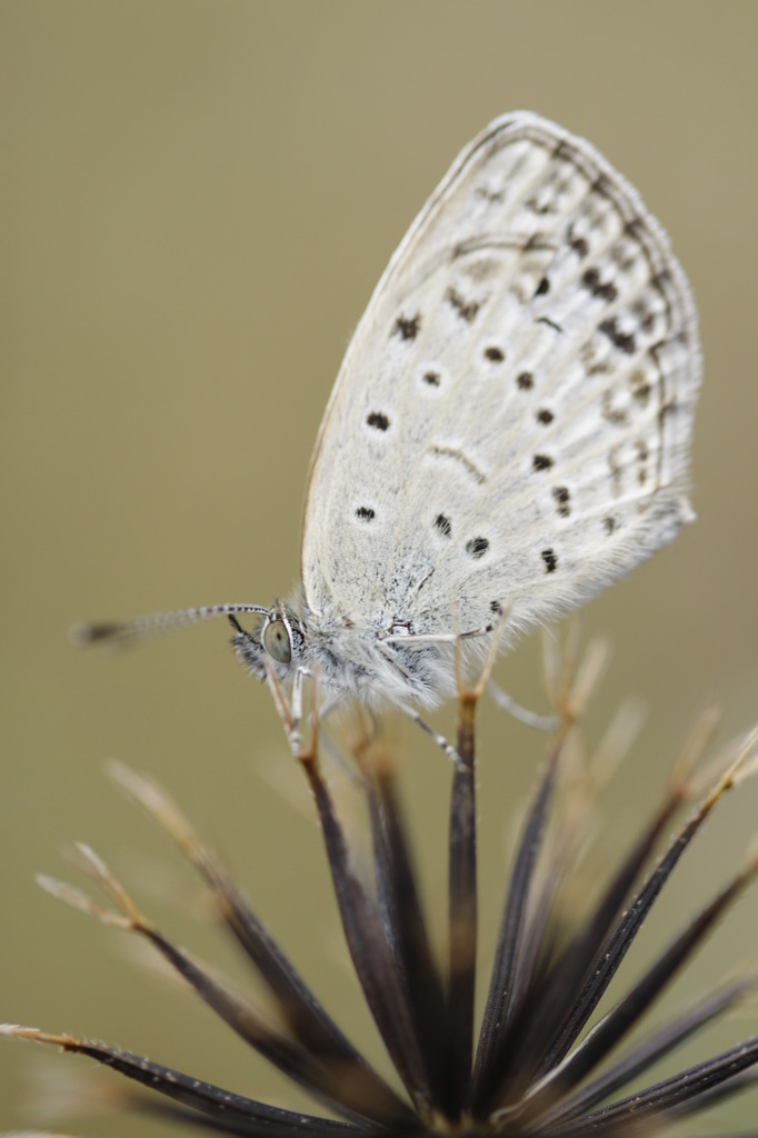踏ん張りどころ