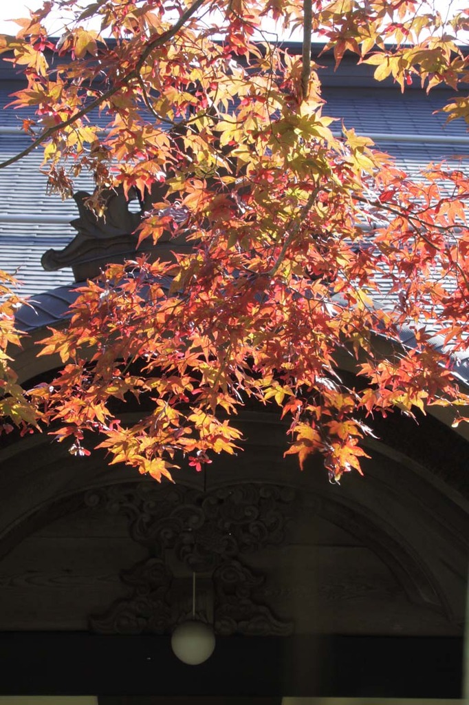 高野山境内の紅葉