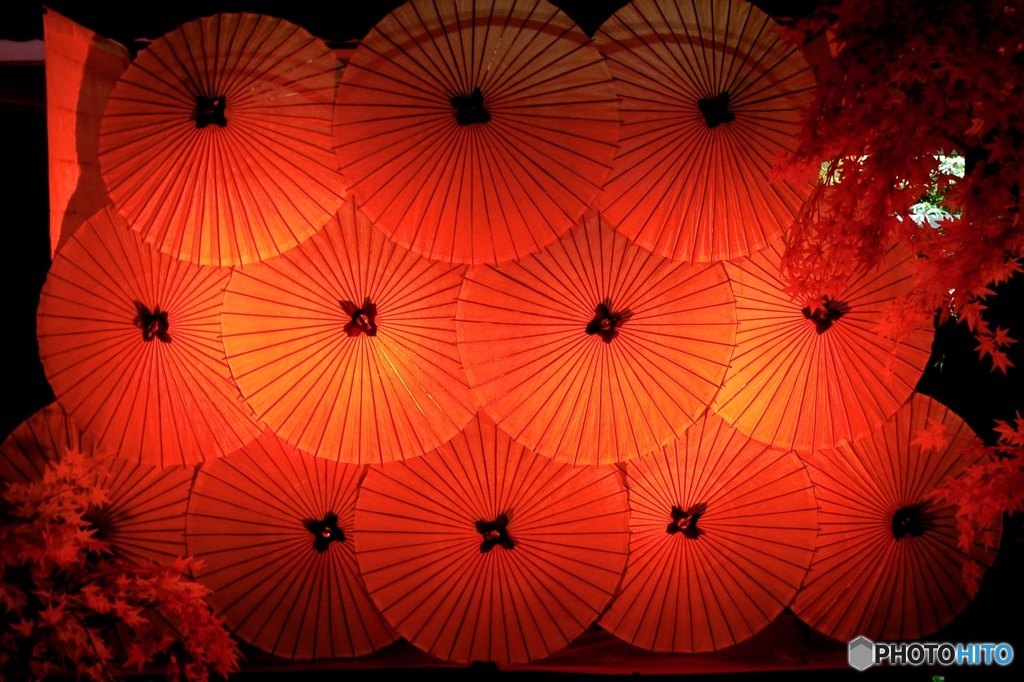 十二傘