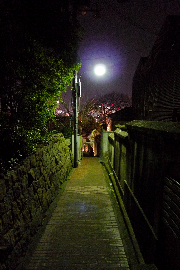 夜の北野