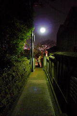 夜の北野