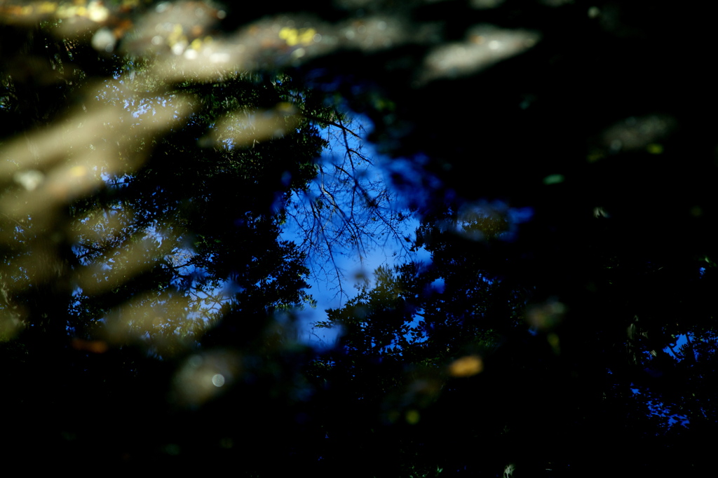 水たまり