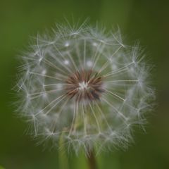 薫風にまかせて
