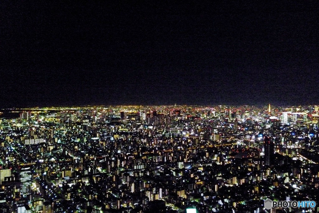 Tokyo night