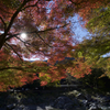 赤・青・緑・太陽