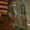 Ｓｈｏｗ　ｗｉｎｄｏｗ