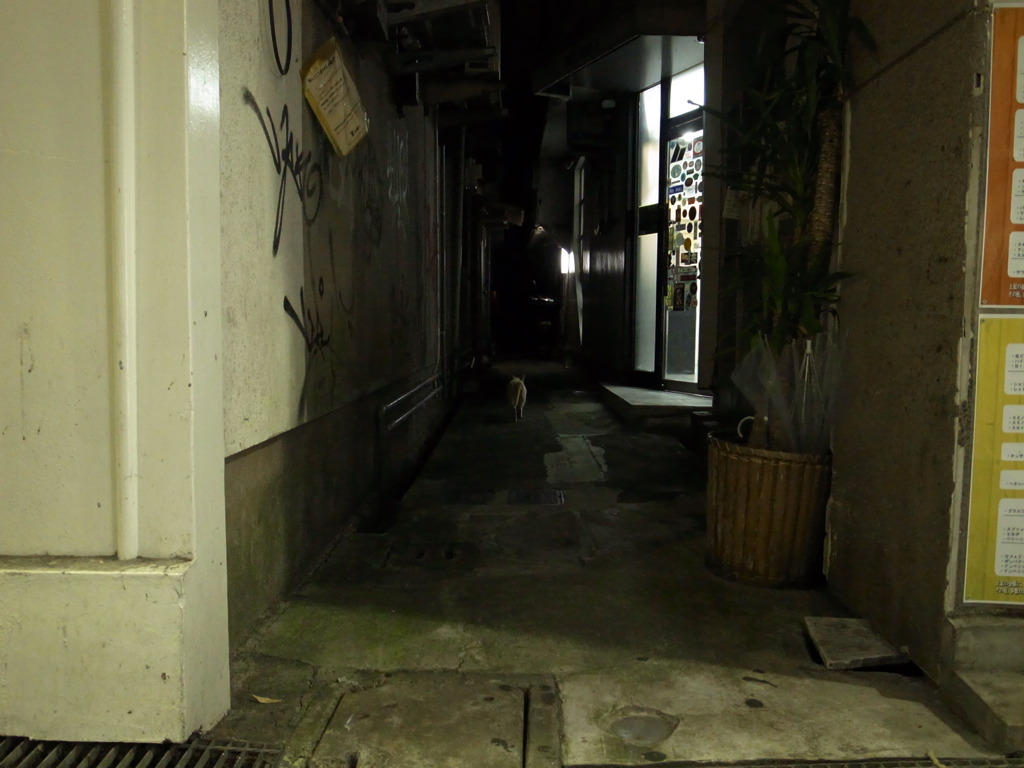 夜の支配者