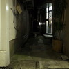 夜の支配者