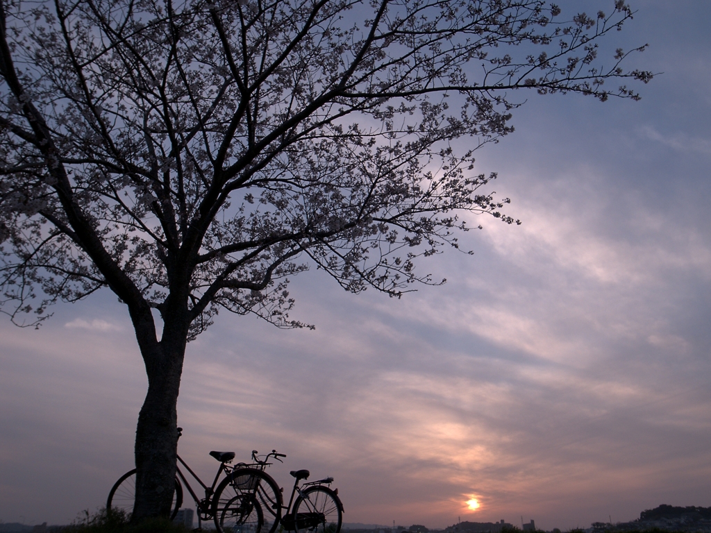 春の風景－夕