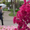花と華