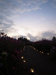 夕空への道