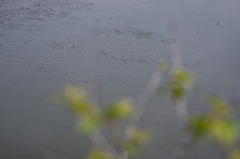 波跡