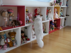 どれにしようかな