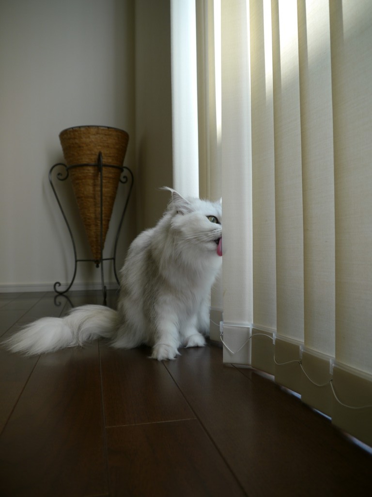 味見