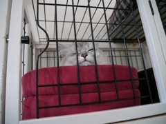 退屈