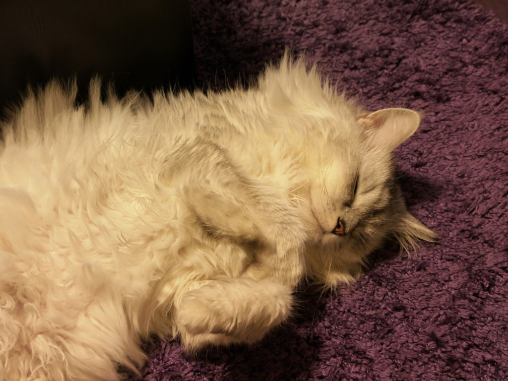 泥のように眠る