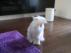 ふぁ～あ