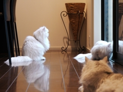 まったり中