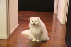 ・・・