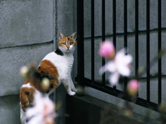 えっ～なにか・・・　　