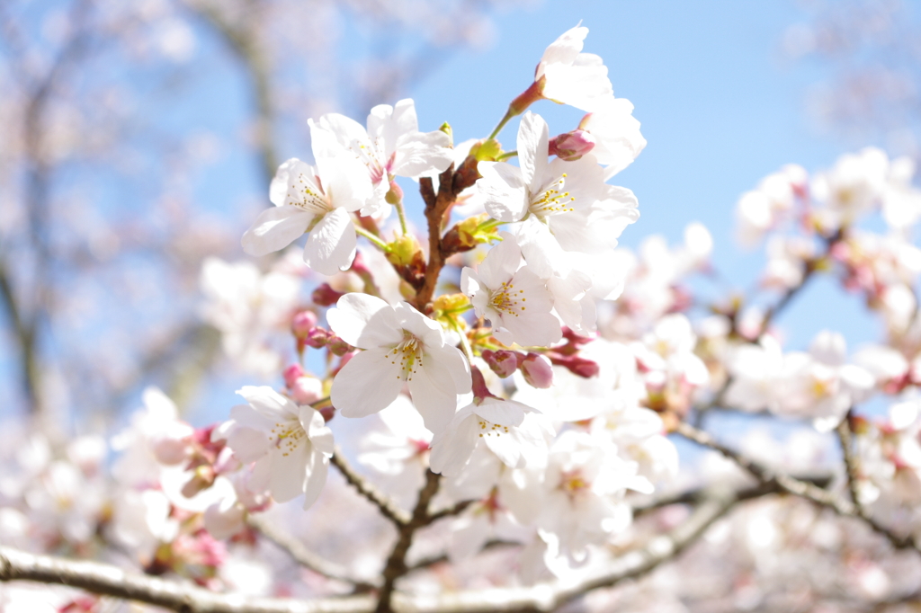 度会町、自然公園にて