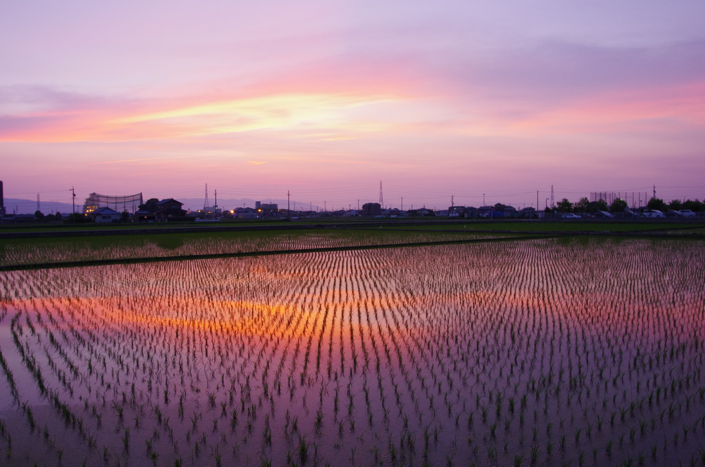 田舎の夕暮れ