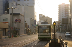 IMGP5981