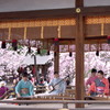 京都　平野神社