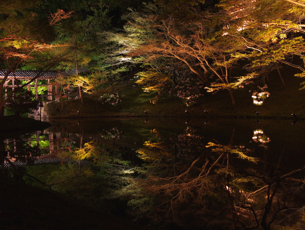 京都高台寺