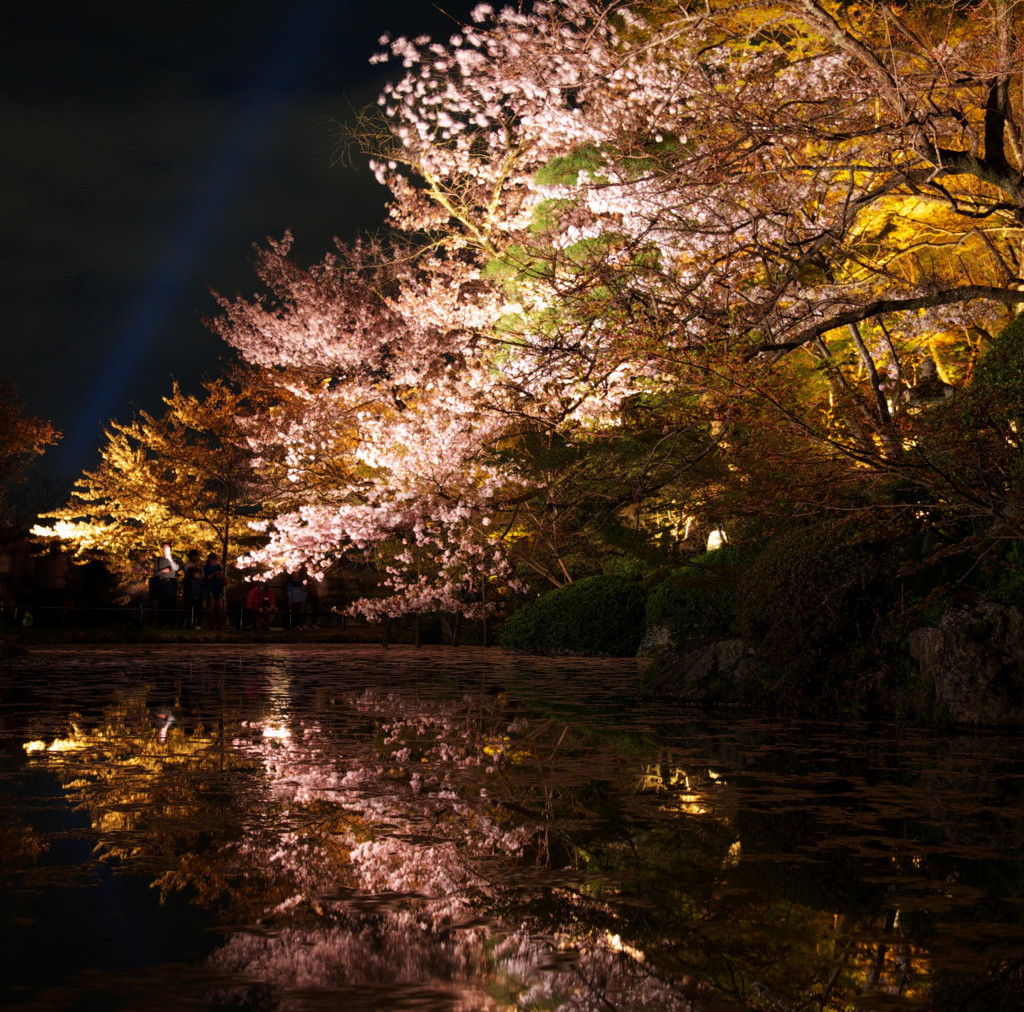 京都清水寺