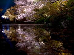 京都清水寺