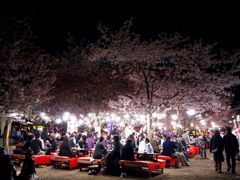 京都円山公園