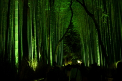 竹林