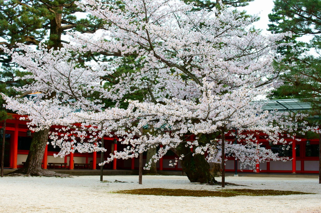 平安神宮
