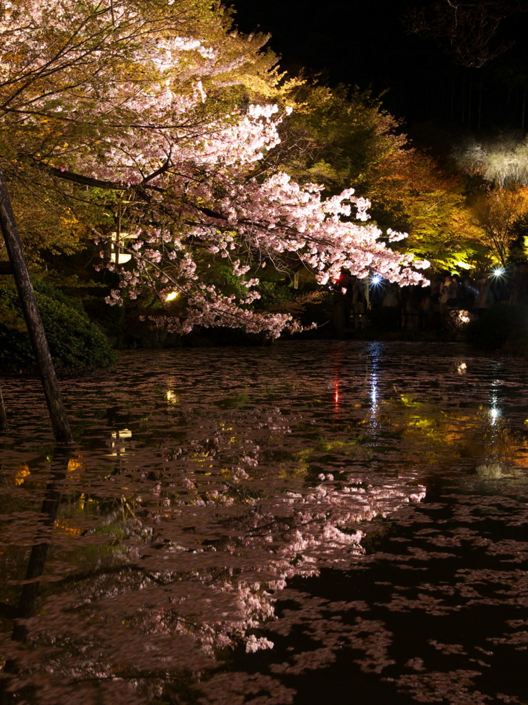 京都清水寺