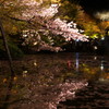 京都清水寺