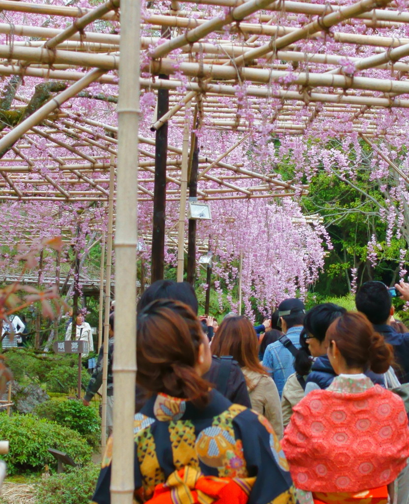 平安神宮