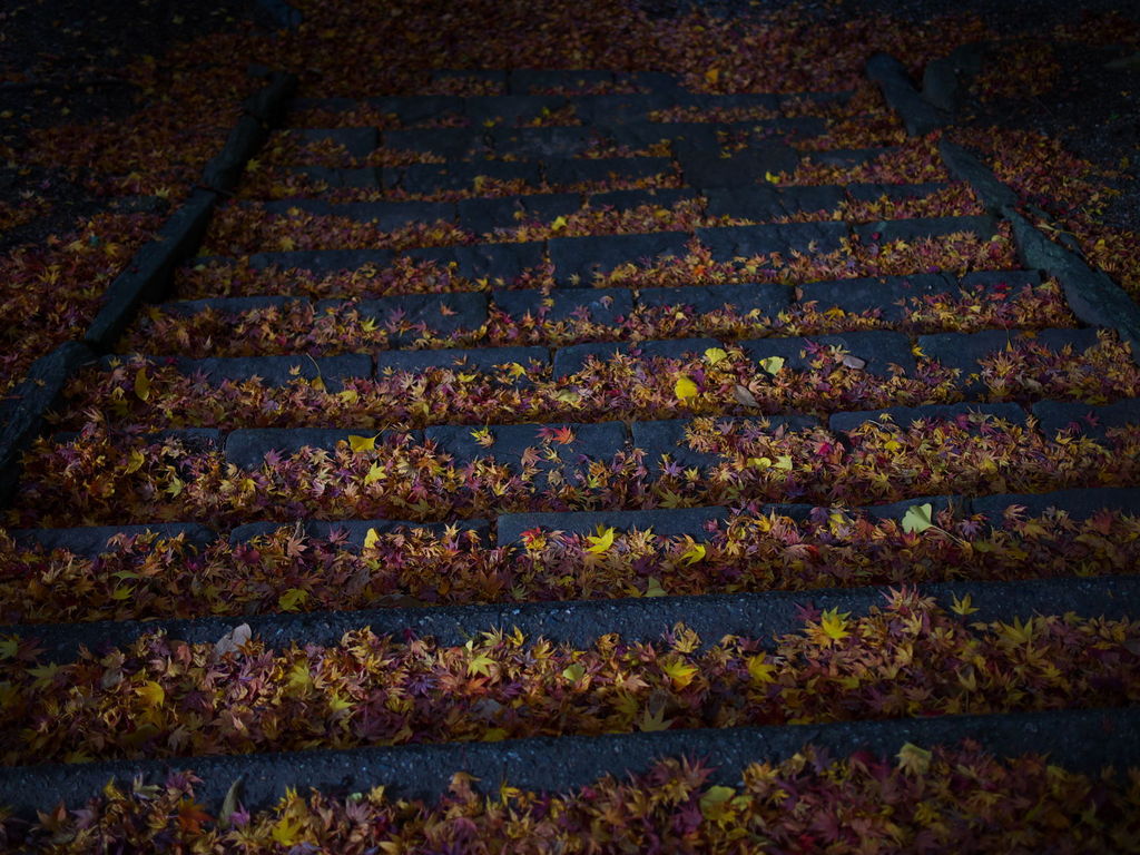 紅葉