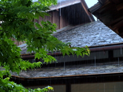 雨の陣屋