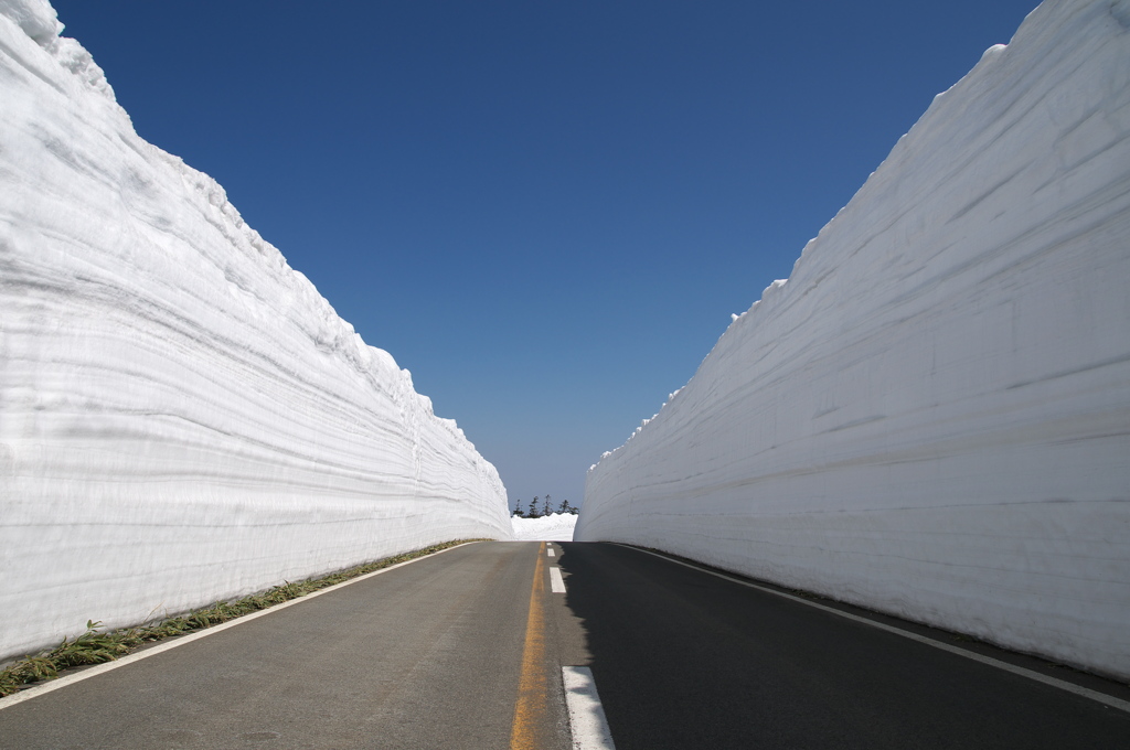 雪の回廊