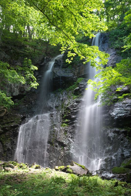 新緑の滝！